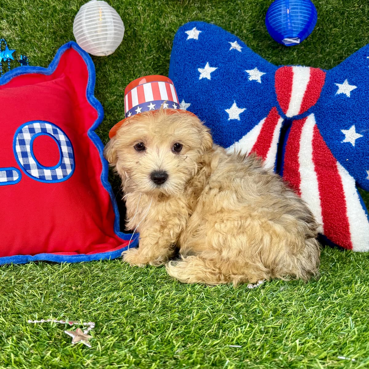 Milo